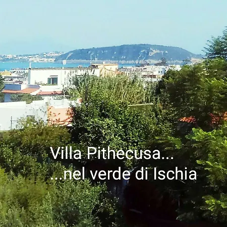Pithecusa * Ίσκια